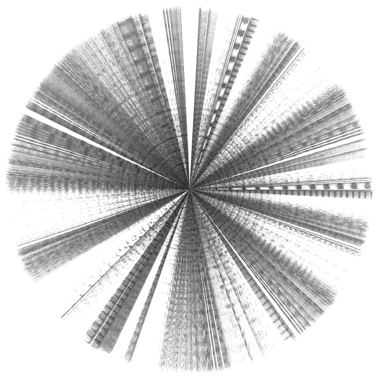 Sequence×Radial TEE detail 5