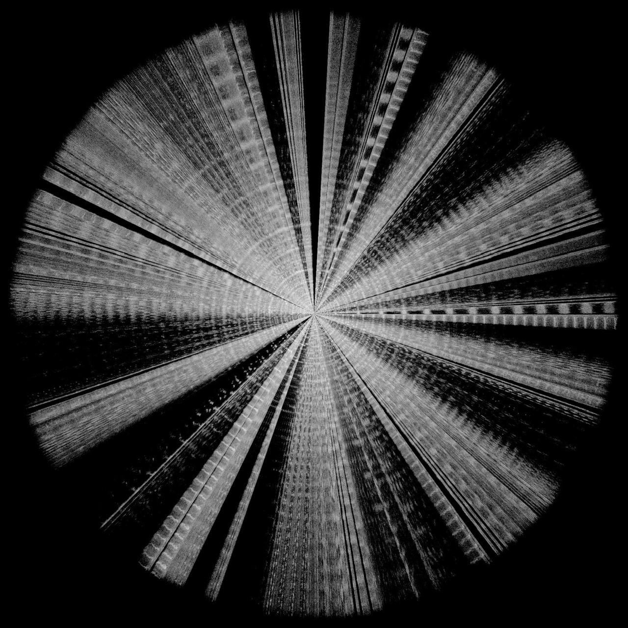 Sequence×Radial TEE detail 5